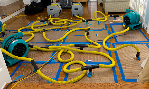 Professional Structural Drying And Dehumidification technician working in Nashotah, WI